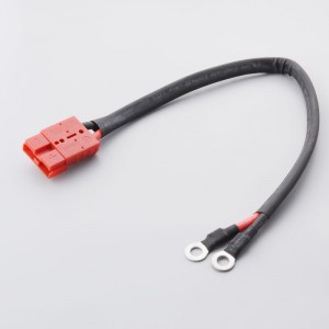 50A Elektrische Schakelaar van de Ladekabel van de vorkheftruckbatterij voor Anderson Plug Lead aan Lug M8 Terminal Harness Wire